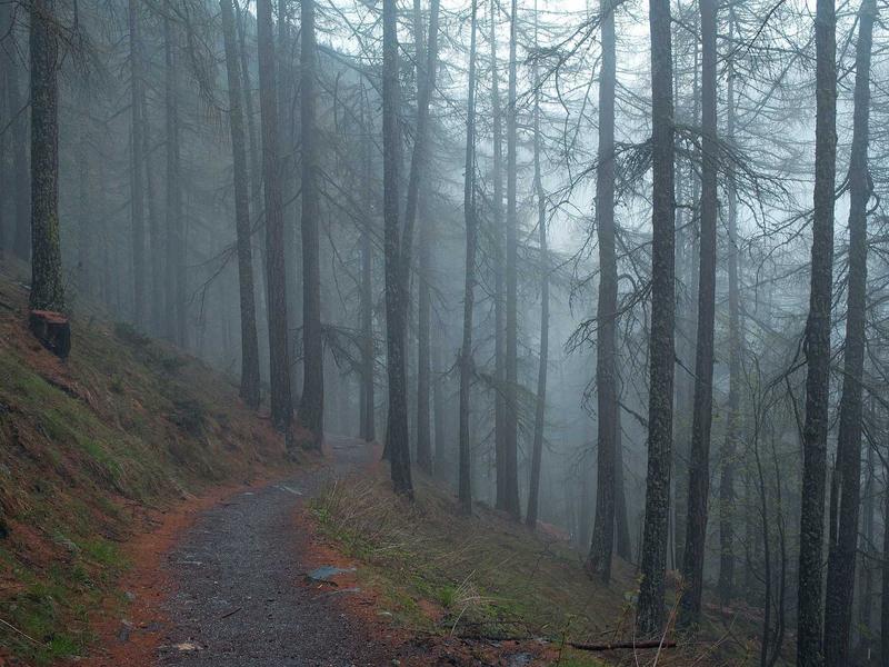 VexXorLoreVopa Santo Domingo