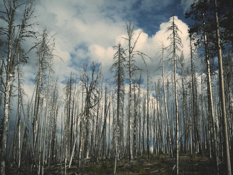Isabela Reyes Santo Domingo